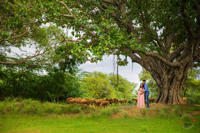 Maternity_Shoot_mumbai (9)
